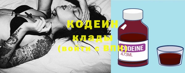 эйфоретик Арсеньев