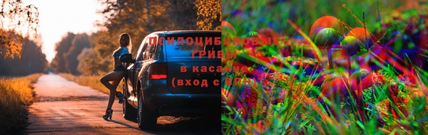 эйфоретик Арсеньев