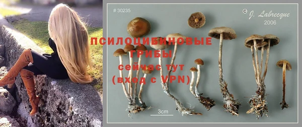 спиды Армянск
