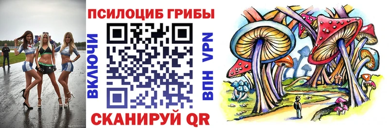 shop состав Заречный Псилоцибиновые грибы Psilocybe